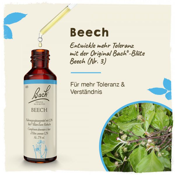 Original Bachblüten Beech 20ml
