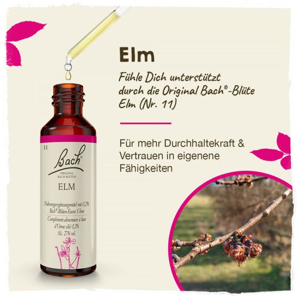 Original Bachblüten Elm 20ml