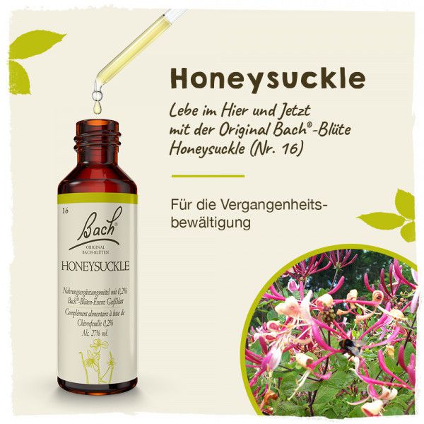 Original Bachblüten Honeysuckle 20ml