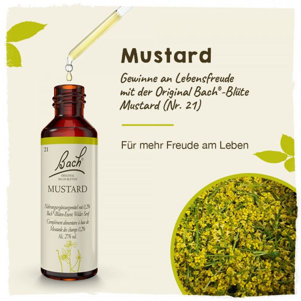 Original Bachblüten Mustard 20ml