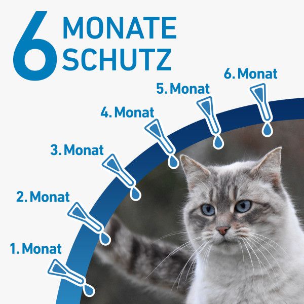 FRONTLINE SPOT-ON gegen Zecken und Flöhe für Katzen
