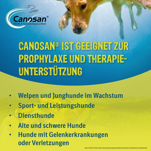 CANOSAN Pellets bei Gelenkproblemen Hund mit Grünlippmuschel Extrakt Gonex