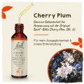 Original Bachblüten Cherry Plum 20ml