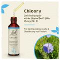Original Bachblüten Chicory 20ml