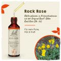 Original Bachblüten Rock Rose 20ml