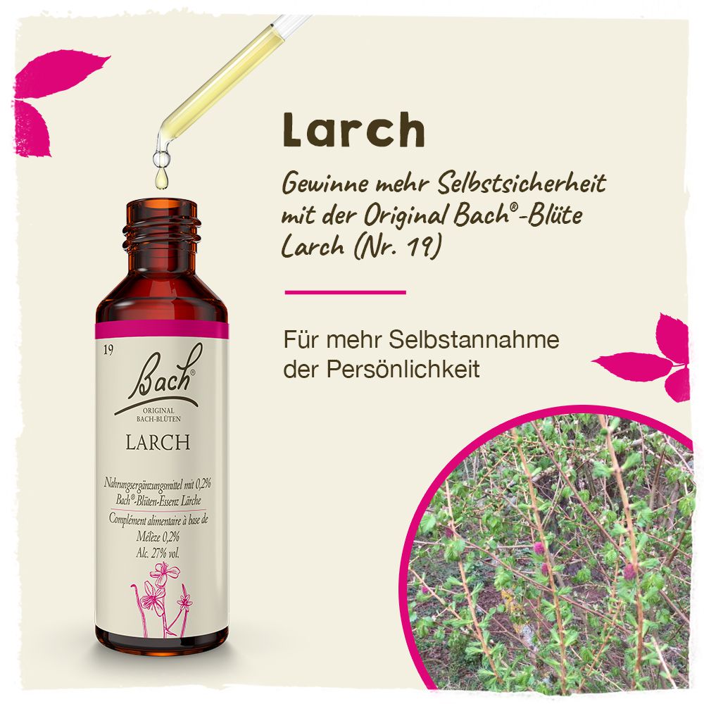 Original Bachblüten Larch 20ml